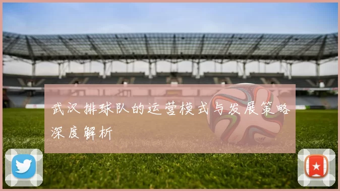 武汉排球队的运营模式与发展策略深度解析
