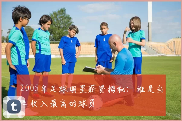 2005年足球明星薪资揭秘：谁是当年收入最高的球员
