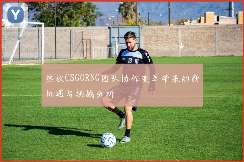 热议CSGORNG团队协作变革带来的新机遇与挑战分析