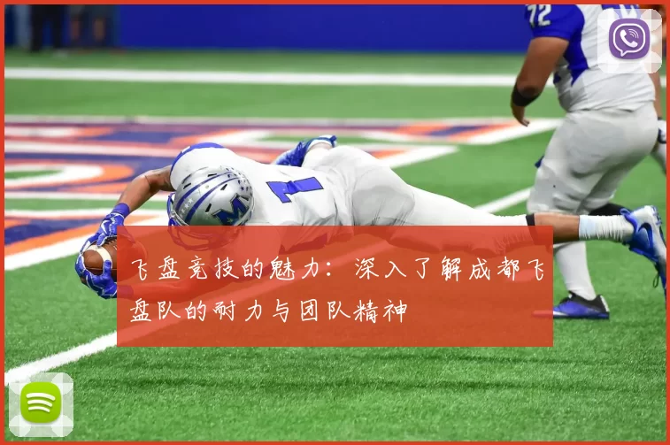 飞盘竞技的魅力：深入了解成都飞盘队的耐力与团队精神