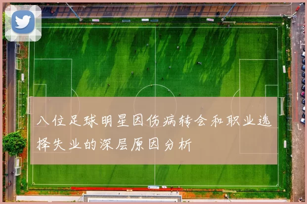 八位足球明星因伤病转会和职业选择失业的深层原因分析