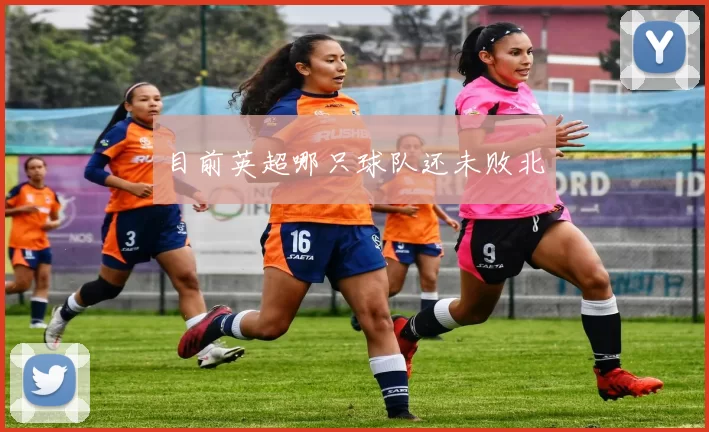 目前英超哪只球队还未败北