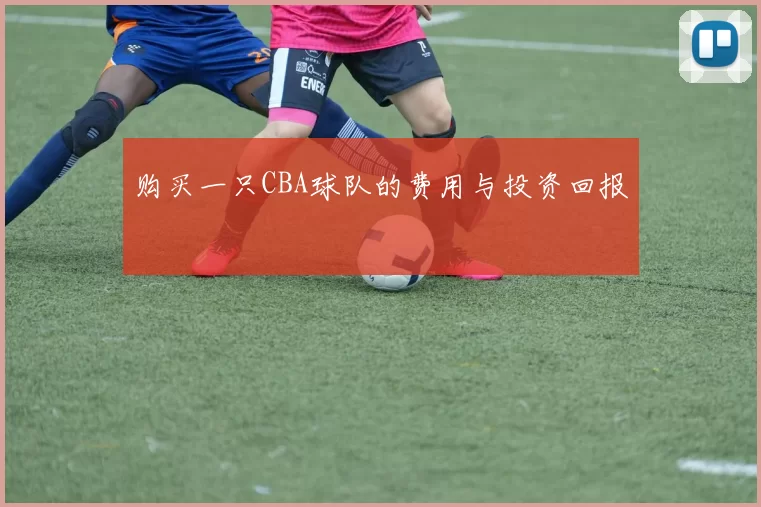 购买一只CBA球队的费用与投资回报