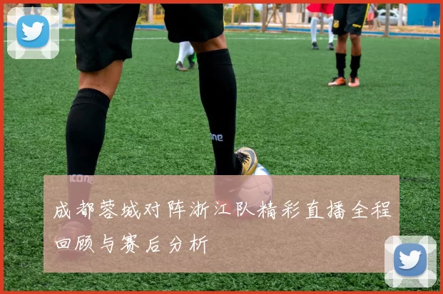 成都蓉城对阵浙江队精彩直播全程回顾与赛后分析