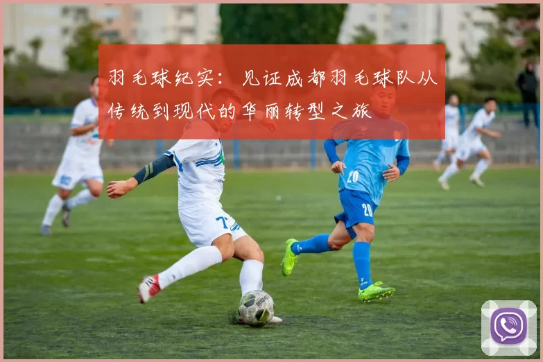 羽毛球纪实：见证成都羽毛球队从传统到现代的华丽转型之旅