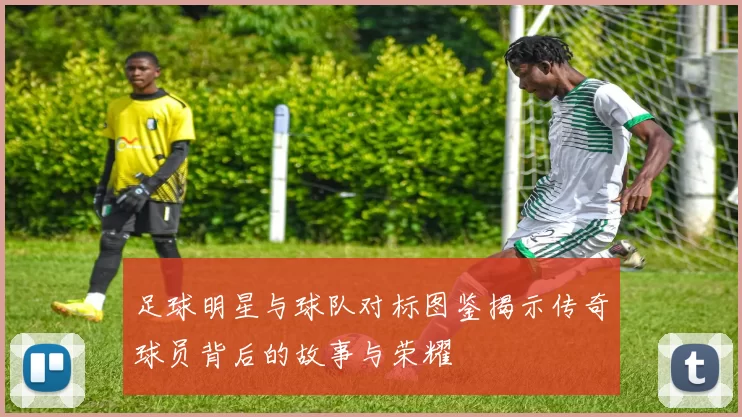 足球明星与球队对标图鉴揭示传奇球员背后的故事与荣耀