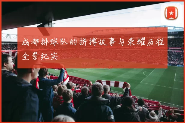 成都排球队的拼搏故事与荣耀历程全景纪实