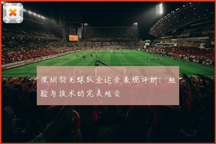 深圳羽毛球队全运会表现评析：经验与技术的完美结合