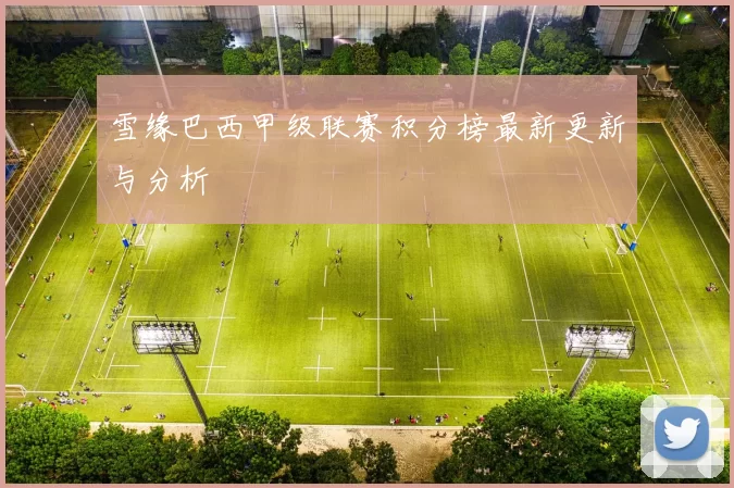 雪缘巴西甲级联赛积分榜最新更新与分析