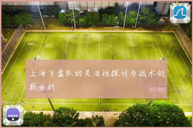 上海飞盘队的灵活性探讨与战术创新分析