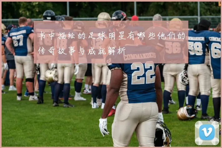 书中描绘的足球明星有哪些他们的传奇故事与成就解析
