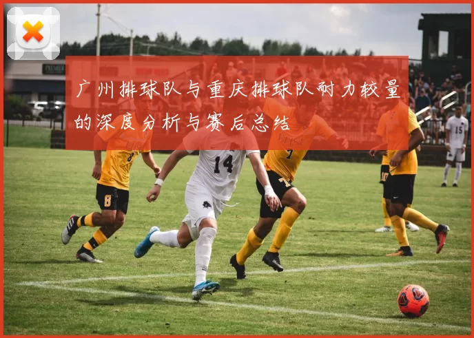 广州排球队与重庆排球队耐力较量的深度分析与赛后总结