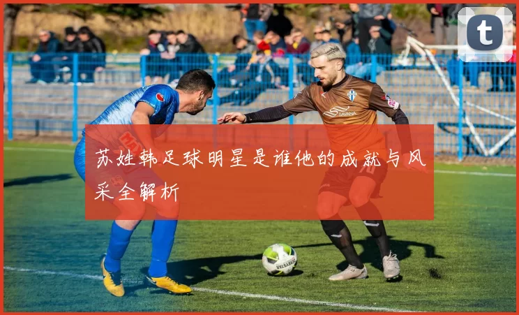 苏姓韩足球明星是谁他的成就与风采全解析