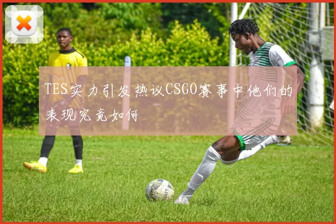 TES实力引发热议CSGO赛事中他们的表现究竟如何